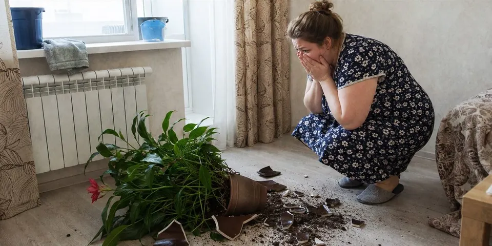 Перед відрядженням чоловік приніс додому нову квітку, і лише після його від’їзду я зрозуміла, навіщо вона була потрібна